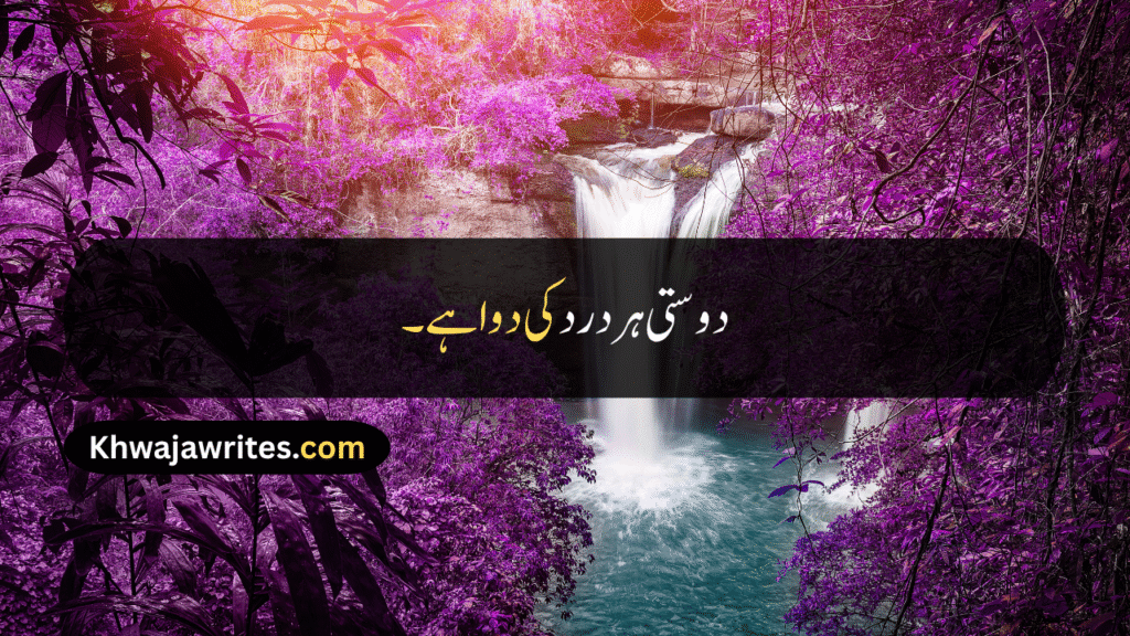 Friendship Day Quotes