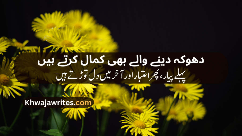 Sad Lines In Urdu