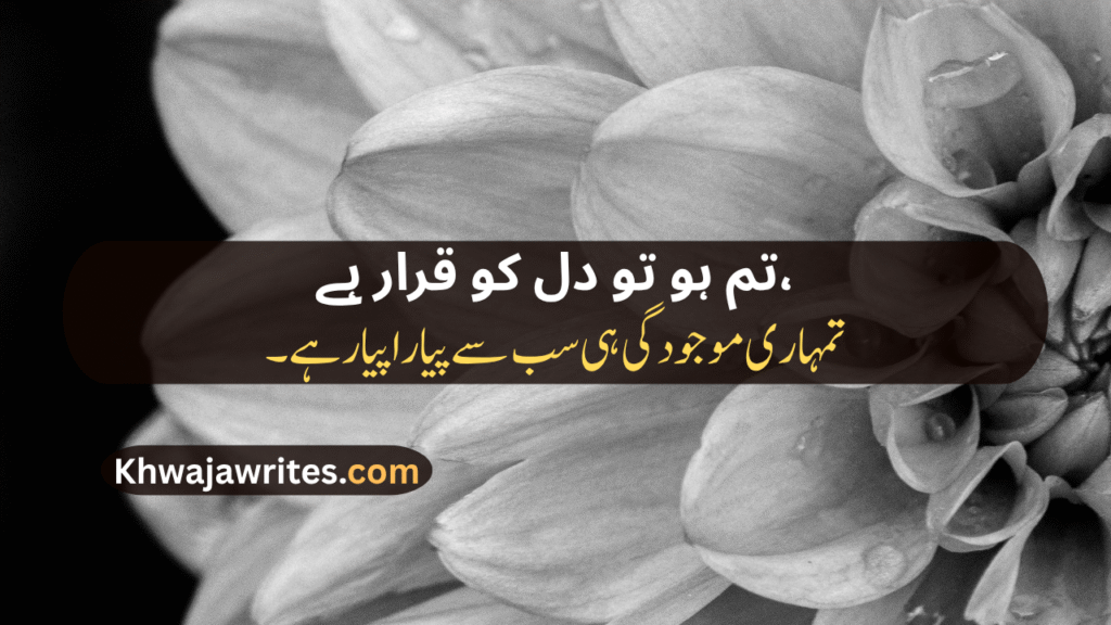 Love Poetry For Wife In Urdu