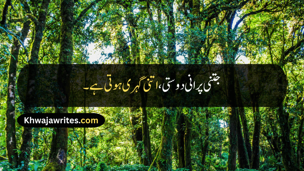 Friendship Day Quotes