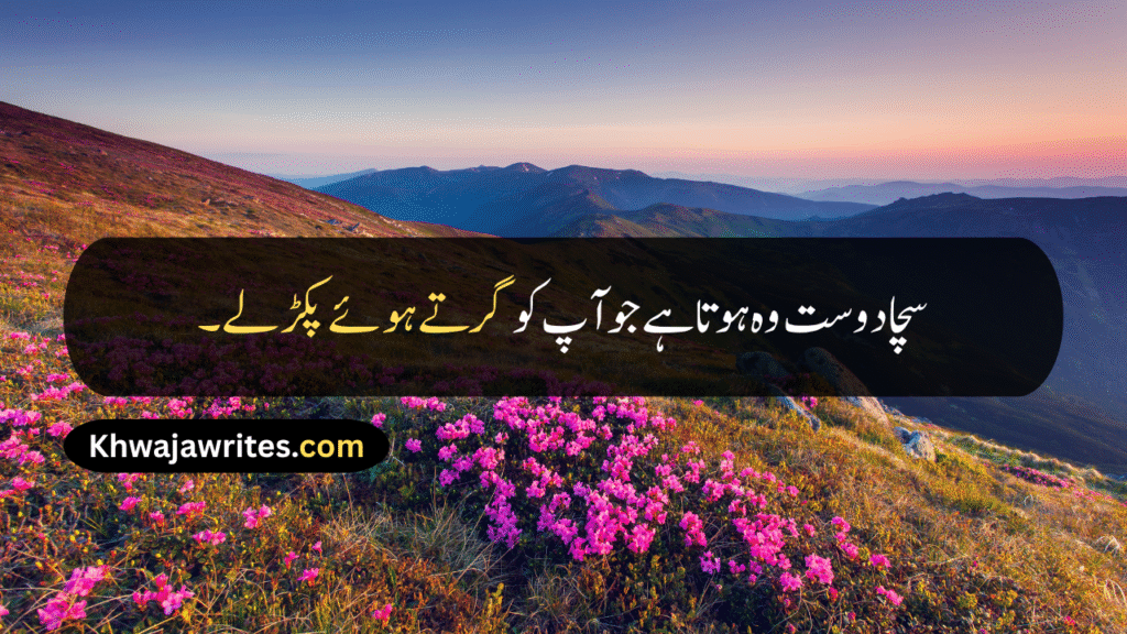 Friendship Day Quotes