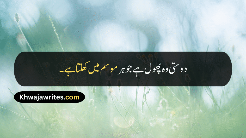 Friendship Day Quotes