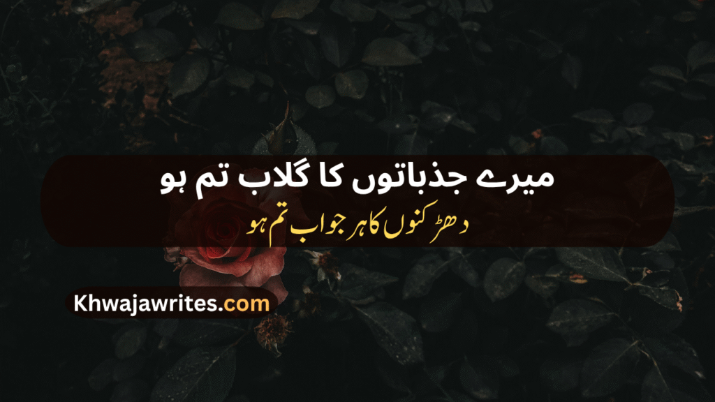 Rose Poetry In Urdu