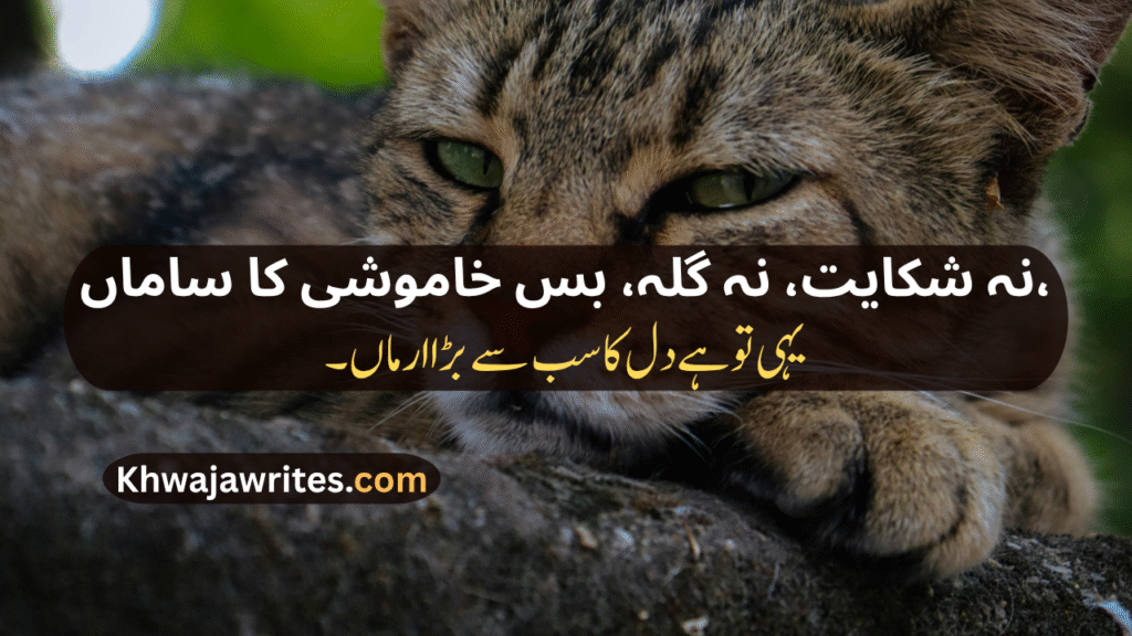 Khamoshi Poetry In Urdu