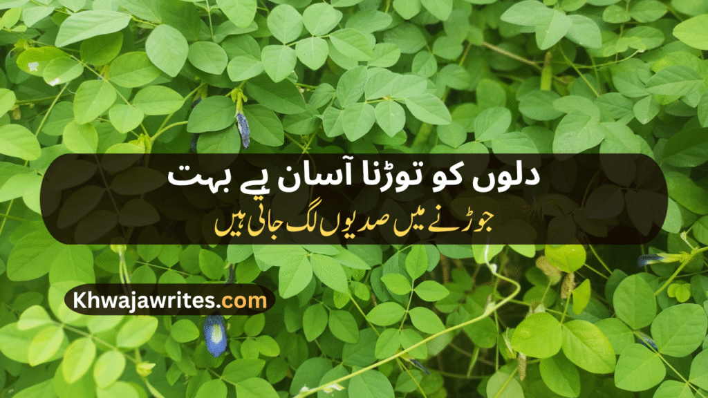 Decent Poetry In Urdu