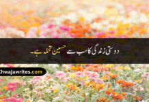 40+ Emotional and Deep Friendship Day Quotes in Urdu Friendship Day Quotes