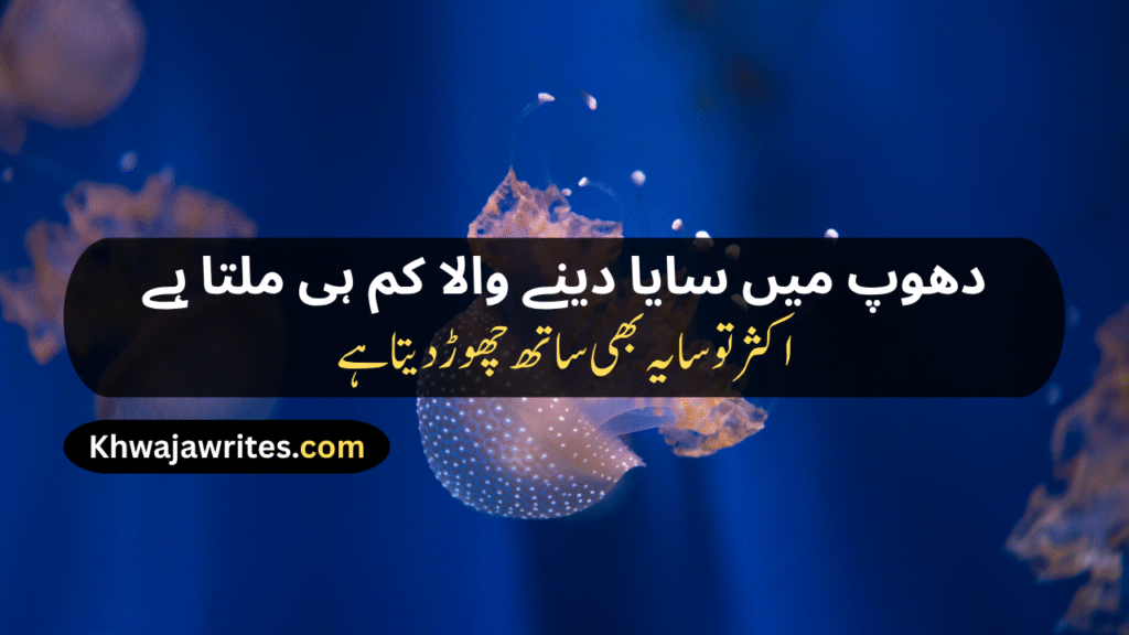 Urdu Poetry On Reality Of Life