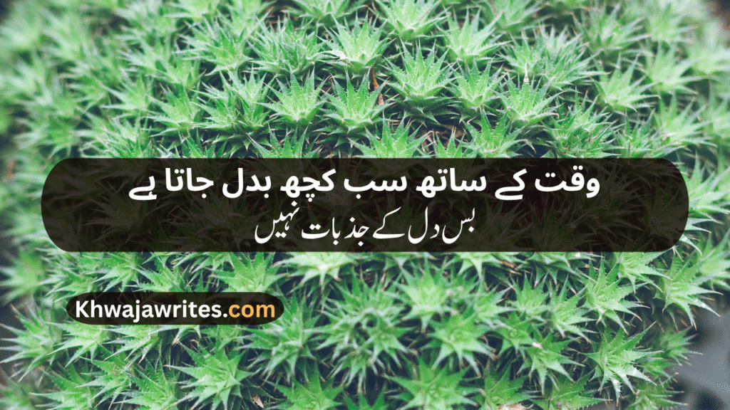Sad Lines In Urdu