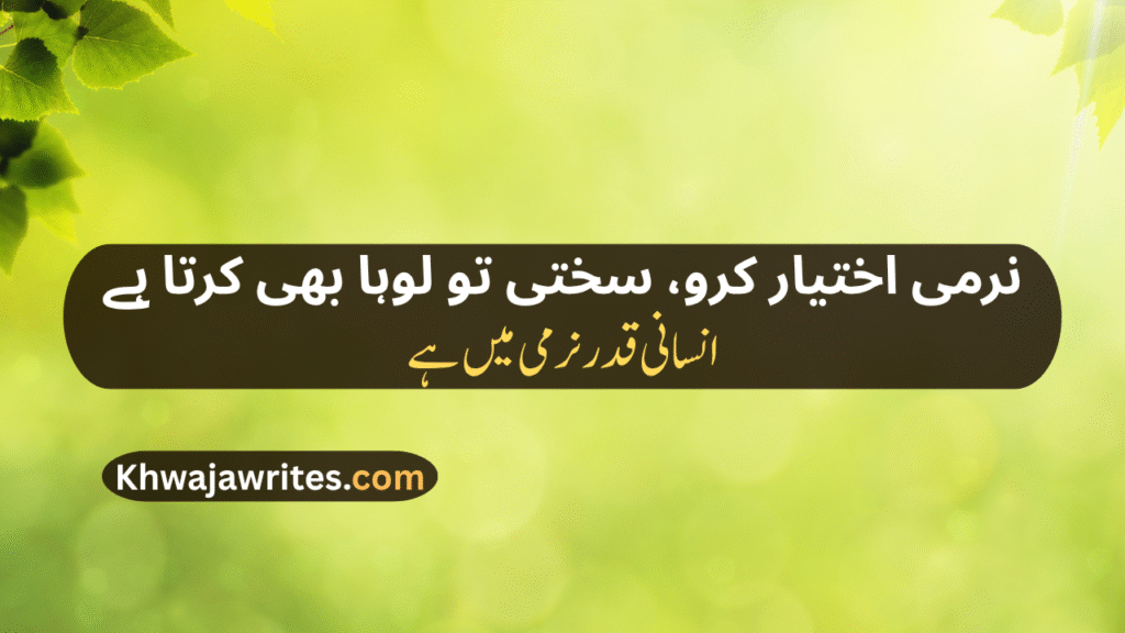 Decent Poetry In Urdu