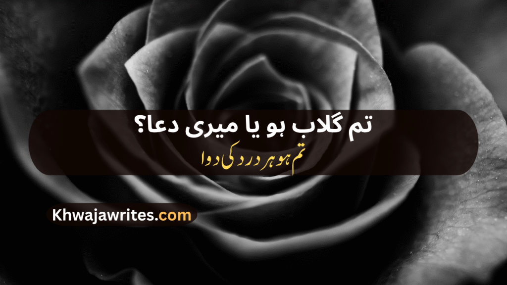 Rose Poetry In Urdu