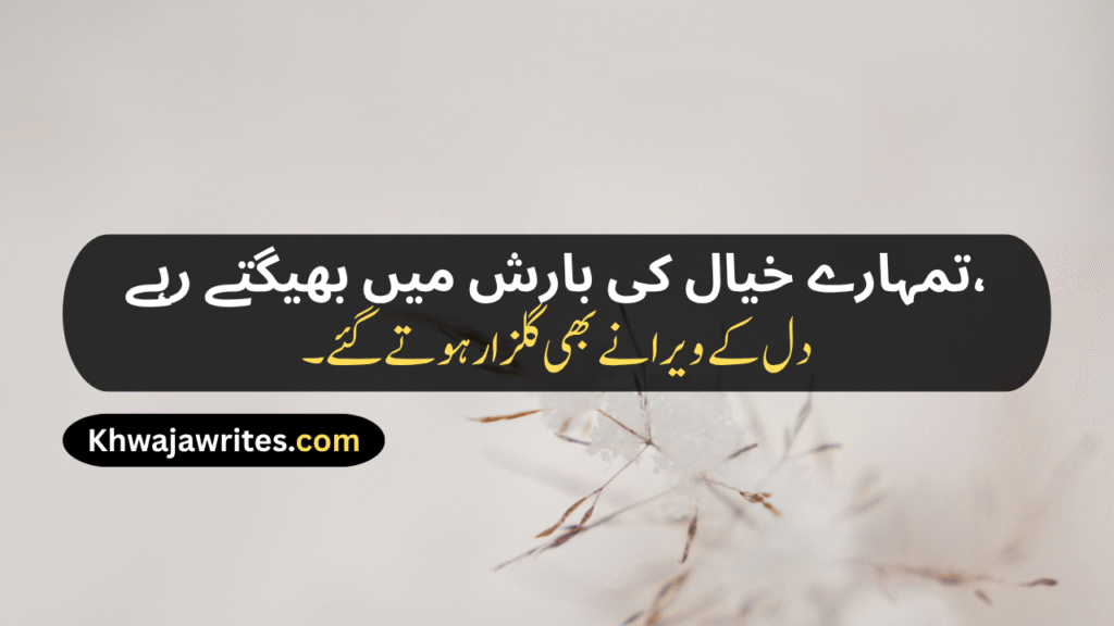 Aesthetic Urdu Poetry