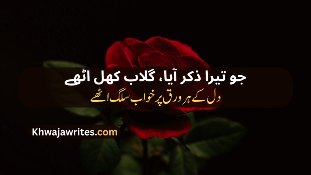 Rose Poetry In Urdu