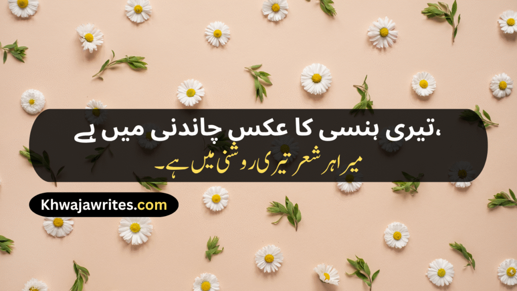 Aesthetic Urdu Poetry