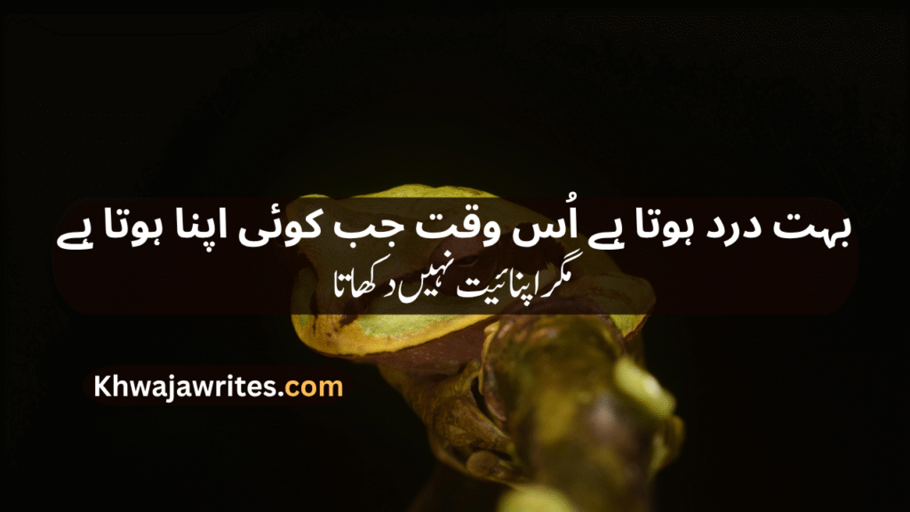 Sad Lines In Urdu