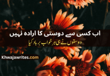 Best 40+Bewafa Dost Poetry in Urdu – Two Line Shayari Bewafa Dost Poetry In Urdu