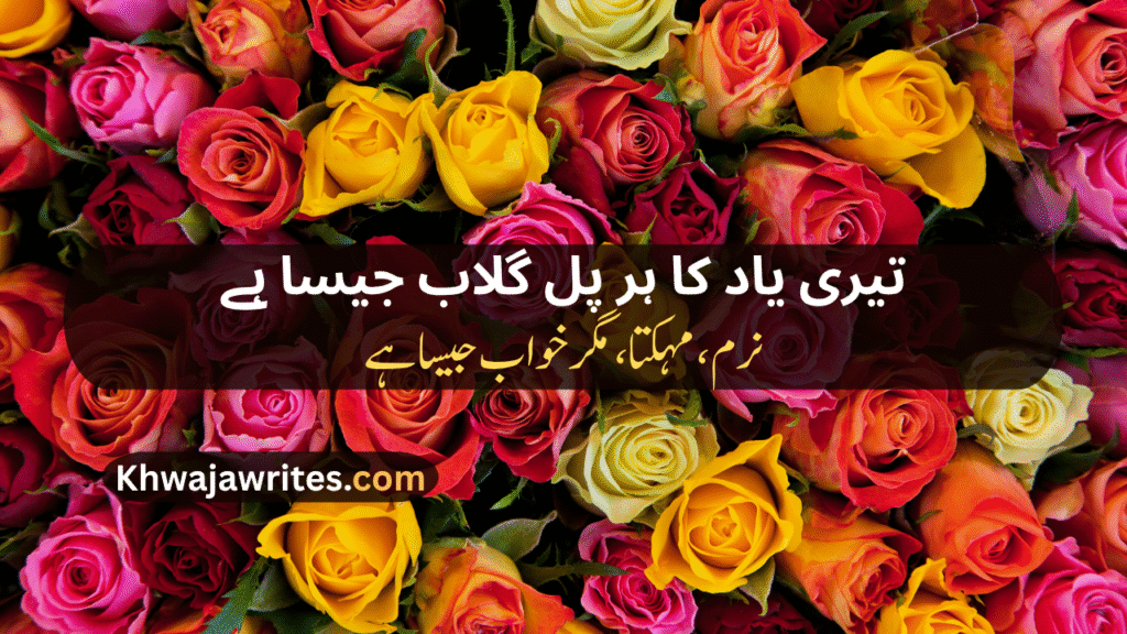Rose Poetry In Urdu
