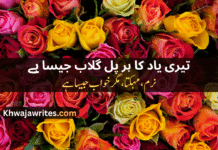 50+ Best Rose Poetry in Urdu – Romantic & Heart Touching Shayari Rose Poetry In Urdu