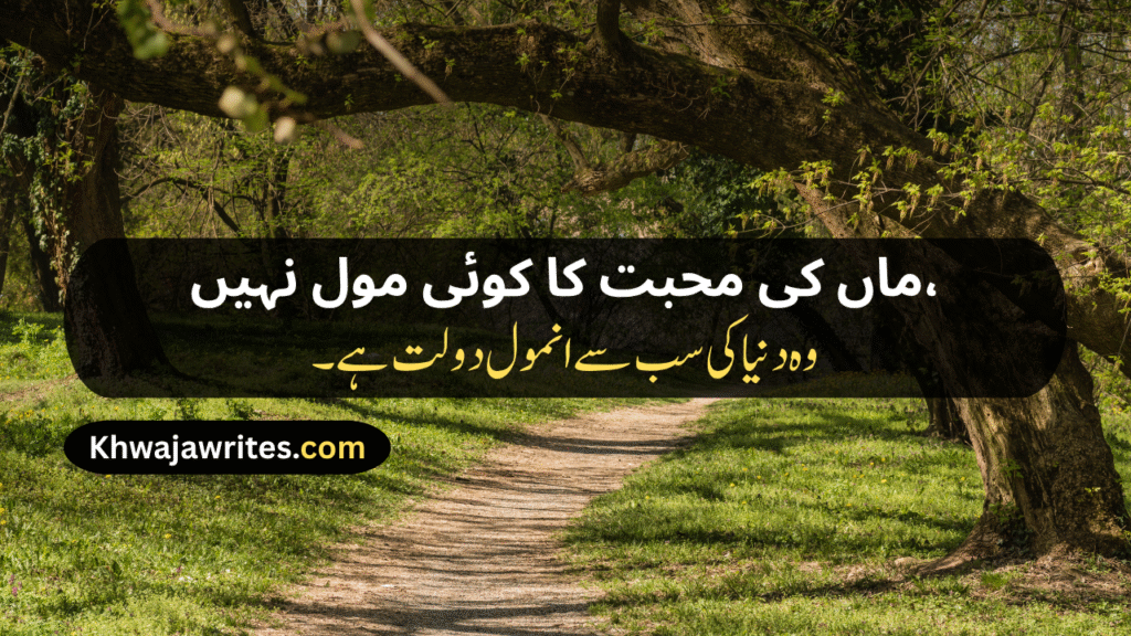 Mom Poetry In Urdu