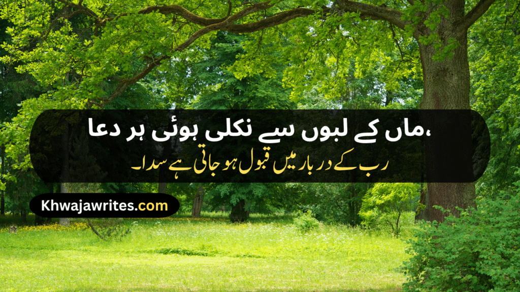 Mom Poetry In Urdu