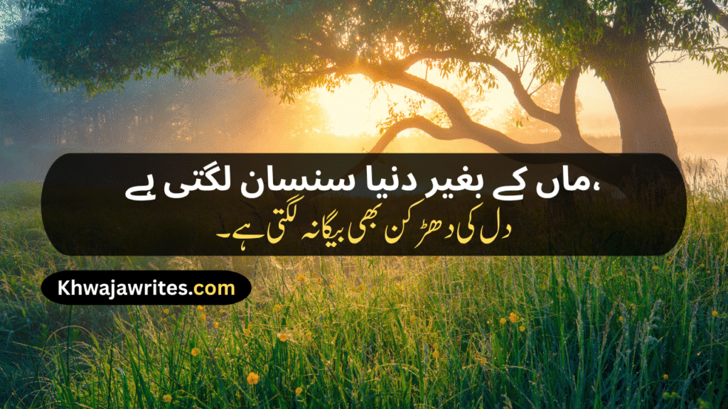 Mom Poetry In Urdu
