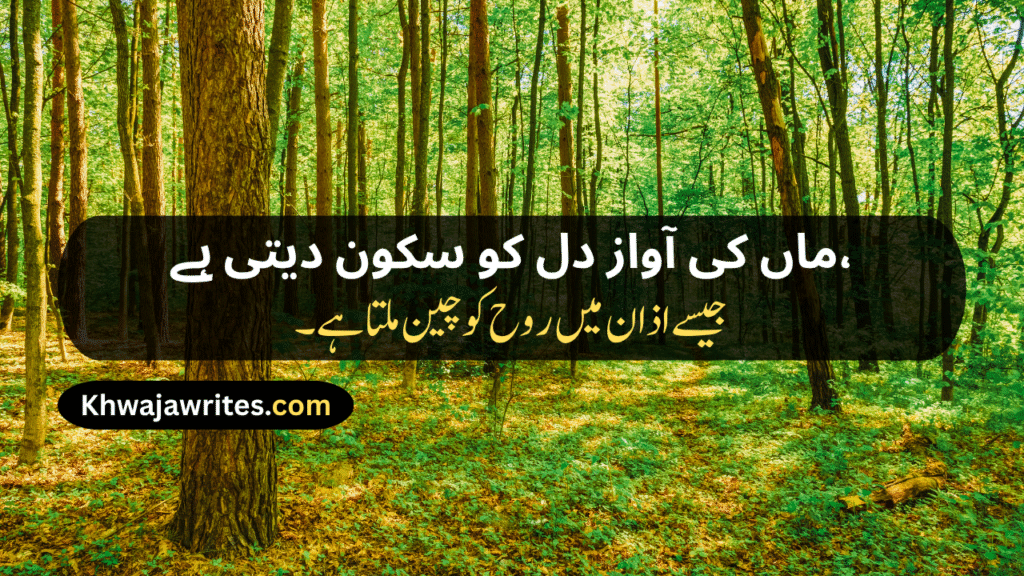 Mom Poetry In Urdu