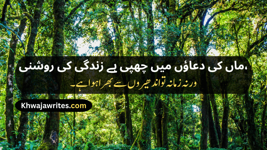 Mom Poetry In Urdu