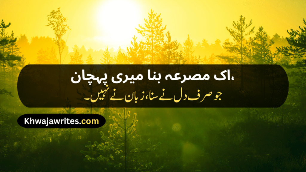 Unique Poetry In Urdu