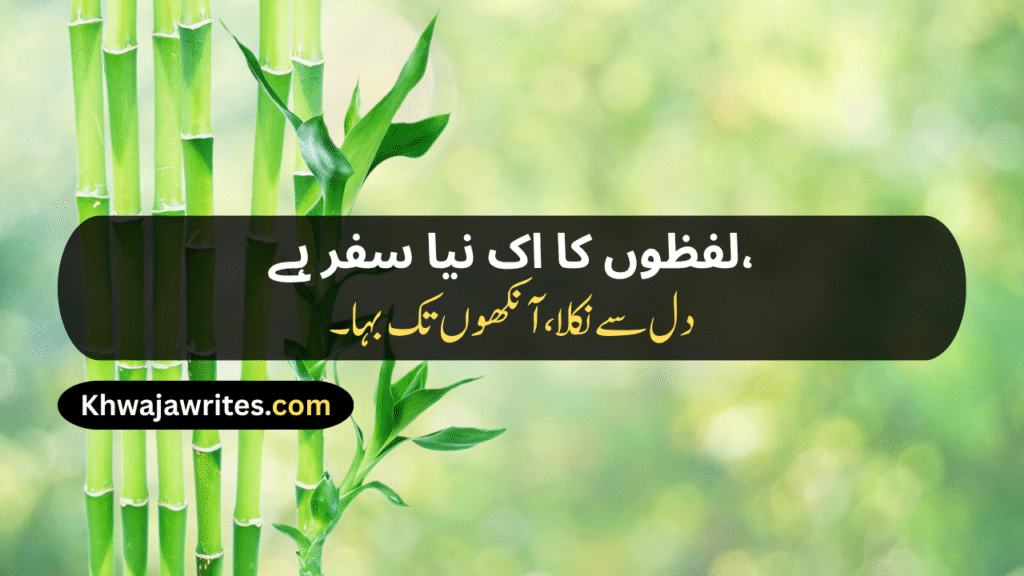 Unique Poetry In Urdu