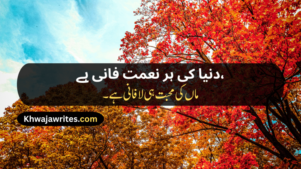 Mom Poetry In Urdu