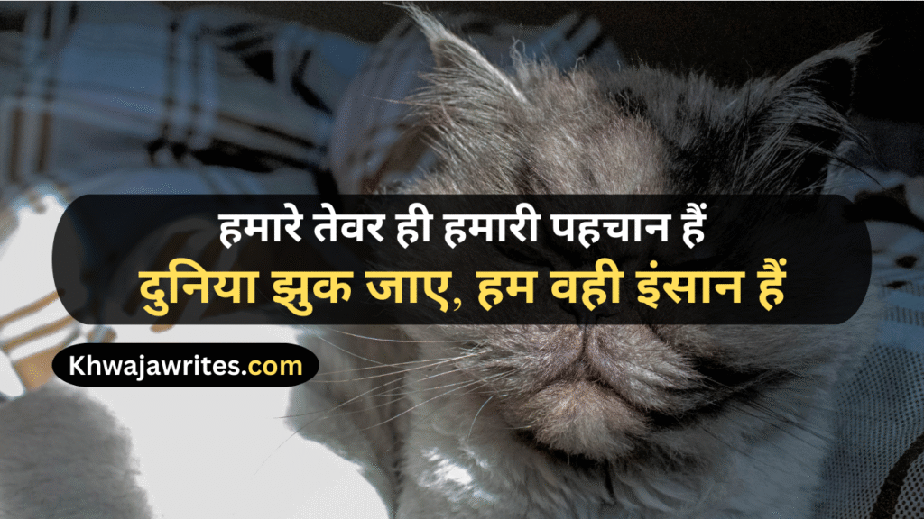 Attitude Shayari
Attitude Shayari For Girls
Boys Attitude Shayari
Attitude Shayari 2 Line
Instagram Attitude Shayari
Attitude Dosti Shayari
Love Attitude Shayari
Attitude Life Shayari
Attitude Sad Shayari
Attitude Shayari In Urdu
Attitude Motivational Shayari
Bhai Shayari Attitude
Punjabi Shayari Attitude
Attitude Shayari In Hindi
Attitude Shayari English