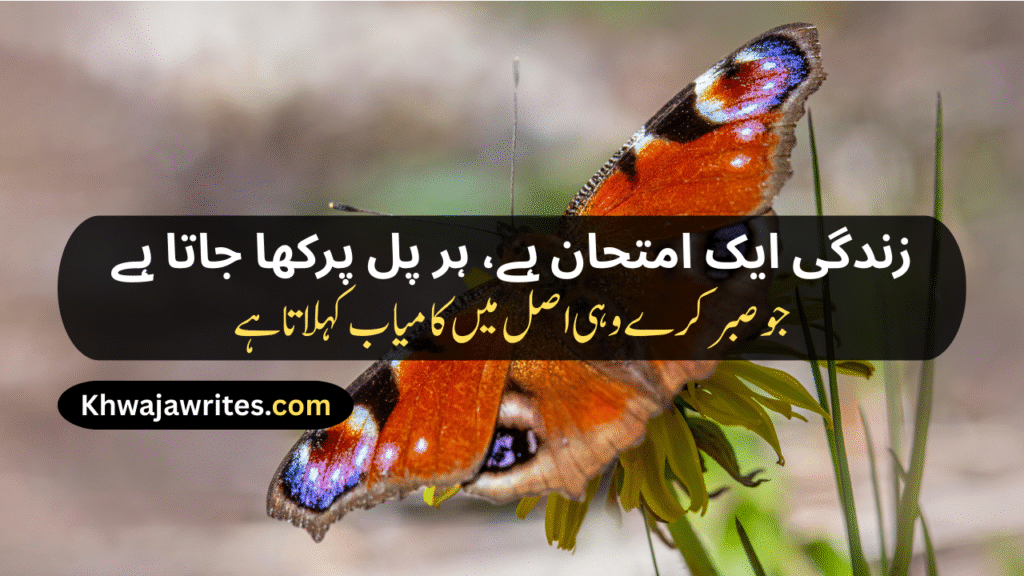 Urdu Shayari On Life
Motivational Urdu Shayari On Life
Shayari On Life In Urdu
Urdu Shayari On Life By Ghalib
Sad Urdu Shayari On Life
Best Urdu Shayari On Life
Deep Shayari On Life Urdu
Urdu Sad Shayari On Life
Shayari In Urdu On Life
Urdu Shayari In Hindi On Life
Urdu Shayari In English On Life