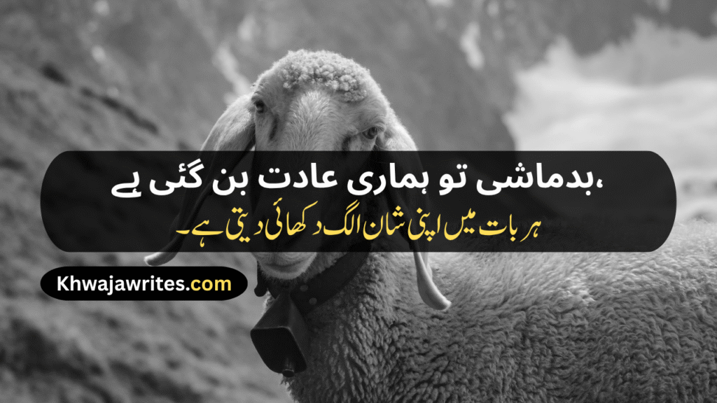 Badmash Shayari
Shayari Badmash
Badmash Wali Shayari
Badmash Ki Shayari
Shayari Badmash Wali
Badmash Dosti Shayari
Yaar Badmash Shayari
Badmash Dost Shayari
Badmash Status Shayari
Two Line Shayari Badmash
Badmashi Poetry In Urdu
Badmashi Poetry In Urdu 2 Lines
Badmashi Poetry In Urdu 2 Lines Copy Paste
Badmashi Poetry In Urdu Text
Badmash Shayari Hindi
Badmash Shayari In English