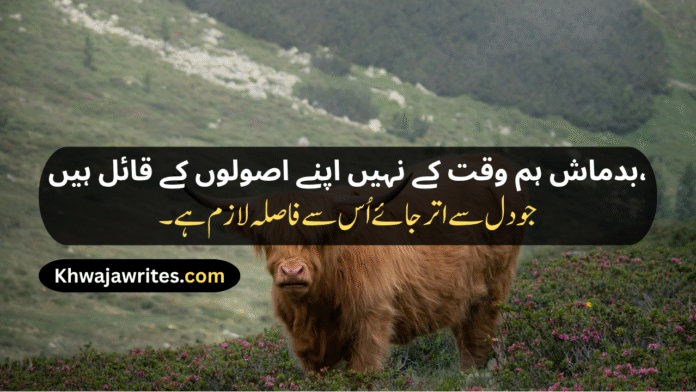 2 Badmash Shayari Shayari Badmash Badmash Wali Shayari Badmash Ki Shayari Shayari Badmash Wali Badmash Dosti Shayari Yaar Badmash Shayari Badmash Dost Shayari Badmash Status Shayari Two Line Shayari Badmash Badmashi Poetry In Urdu Badmashi Poetry In Urdu 2 Lines Badmashi Poetry In Urdu 2 Lines Copy Paste Badmashi Poetry In Urdu Text Badmash Shayari Hindi Badmash Shayari In English