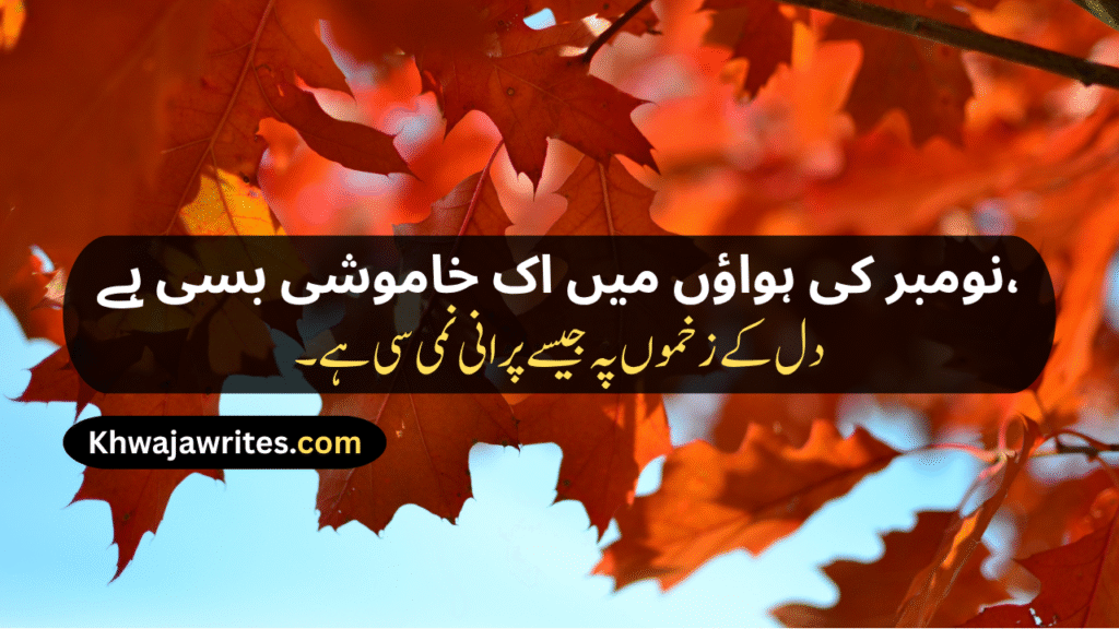 November Shayari
November Sad Shayari
November Love Shayari
November Shayari 2 Lines
Alvida November Shayari
November Poetry
November Poetry In Urdu
November Poetry In Urdu 2 Lines
November Poetry In Urdu 2 Lines Copy Paste
November Poetry In Urdu Text
November Sad Poetry
November Love Poetry
Alvida November Poetry
November Shayari In Punjabi
November Shayari In Hindi
November Shayari In English