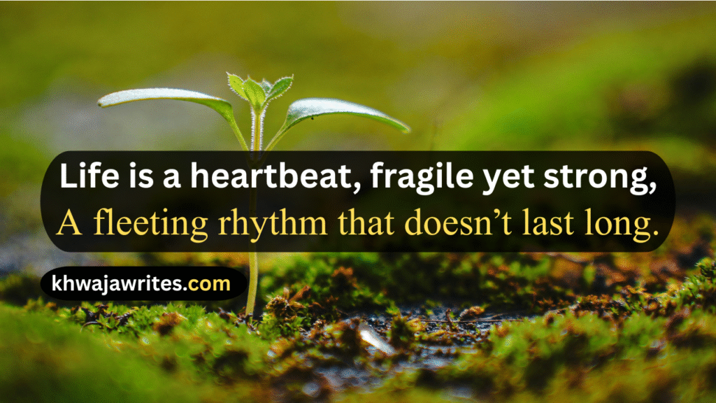 Life Poetry In English
Life Poetry In English 2 Lines
Life Poetry In English Short
Sad Life Poetry In English
Life Partner Poetry In English
School Life Shayari In English
Life Line Poetry In English
Happy Life Poetry In English
Life Beautiful Poetry In English
Life Shayari In English
Sad Shayari In english For Life
Shayari Life In English
Zindagi Shayari On Life In English
Happy Life Shayari In English
Life Motivational Shayari In English
Life Partner Shayari In Snglish
Single Life Shayari In English
Urdu Shayari On Life In English