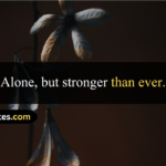 100+ Best Alone Quotes in English – Sad, Attitude, Love, Motivational & One-Line Quotes for Boys and Girls Alone Quotes In English Sad Alone Quotes In English Alone Sad Quotes In English Feeling Alone Quotes In English Alone Life Quotes In English Alone Attitude Quotes In English Alone Love Quotes In English Alone Motivational Quotes In English Being Alone Quotes In English Alone Boy Quotes In English Alone Quotes In English For Boys Alone Quotes In English For Girl Alone Quotes In English For Girl Instagram Alone Quotes In English Short Alone Quotes In English Short For Instagram Alone Quotes In English For Instagram Alone Quotes In English One Line Alone Quotes In English 2 Lines