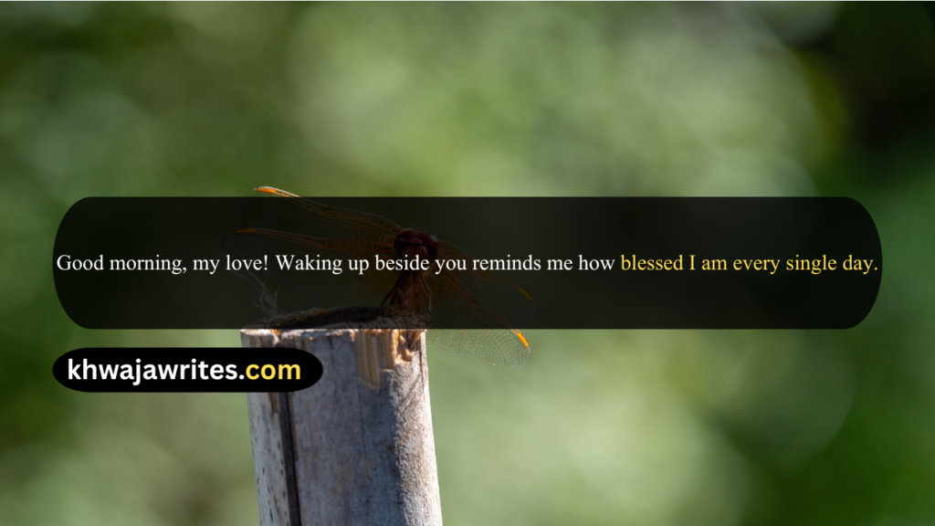 Good Quotes In English
Good Quotes In English About Life
Good Quotes In English For Students
Good Quotes In English For Love
Good Quotes In English Short
Good Quotes In English For Instagram Bio
Good Quotes In English For Instagram Post
Good Quotes In English For Whatsapp
Good Quotes In English For Girl
Good Quotes In English About Education
Good Morning Quotes In English
Good Morning Quotes In English Motivational
Good Morning Quotes In English Motivational For Success
Good Morning Motivational Quotes In English
Good Motivational Quotes In English
Inspirational Good Morning Quotes In English
Good Morning Quotes In English For Girlfriend
Good Morning Quotes In English For Friends
Good Morning Quotes In English Short
Good Morning Quotes In English For Husband
Meaningful Good Morning Quotes In English
Good Morning Quotes In English For Whatsapp
Good Night Quotes In English
Good Night Quotes In English For Love
Good Night Quotes In English For Him
Good Night Quotes In English For Girlfriend
Good Night Quotes In English For Friends
Good Night Quotes In English For Best Friend
Good Night Quotes In English For Whatsapp
Good Night Quotes In English Motivational
Good Night Quotes In English Short