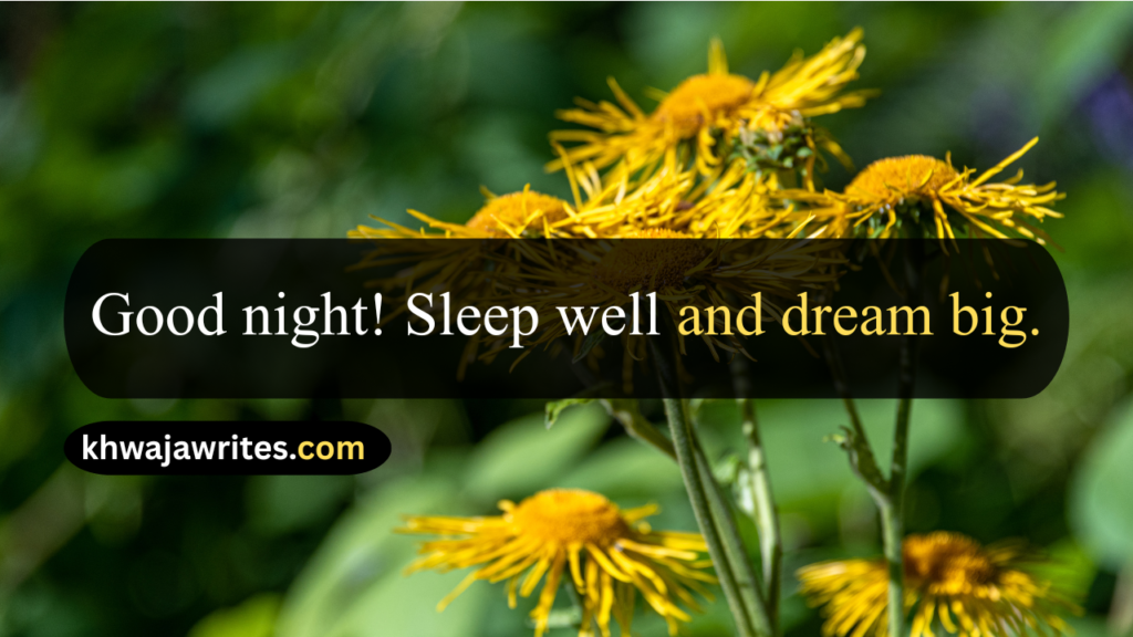 Good Quotes In English
Good Quotes In English About Life
Good Quotes In English For Students
Good Quotes In English For Love
Good Quotes In English Short
Good Quotes In English For Instagram Bio
Good Quotes In English For Instagram Post
Good Quotes In English For Whatsapp
Good Quotes In English For Girl
Good Quotes In English About Education
Good Morning Quotes In English
Good Morning Quotes In English Motivational
Good Morning Quotes In English Motivational For Success
Good Morning Motivational Quotes In English
Good Motivational Quotes In English
Inspirational Good Morning Quotes In English
Good Morning Quotes In English For Girlfriend
Good Morning Quotes In English For Friends
Good Morning Quotes In English Short
Good Morning Quotes In English For Husband
Meaningful Good Morning Quotes In English
Good Morning Quotes In English For Whatsapp
Good Night Quotes In English
Good Night Quotes In English For Love
Good Night Quotes In English For Him
Good Night Quotes In English For Girlfriend
Good Night Quotes In English For Friends
Good Night Quotes In English For Best Friend
Good Night Quotes In English For Whatsapp
Good Night Quotes In English Motivational
Good Night Quotes In English Short